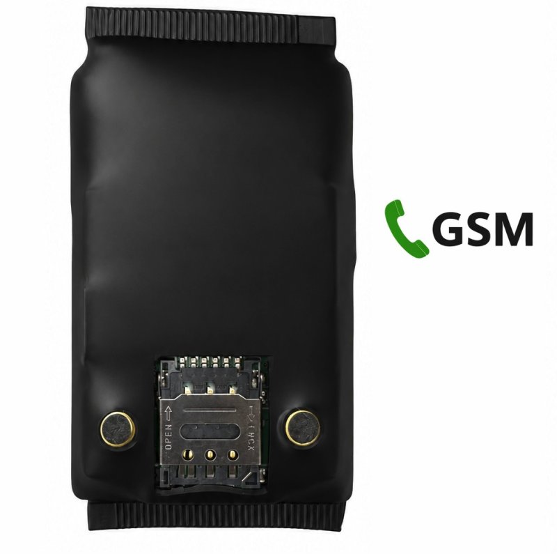 Microspia GSM PROFI 10