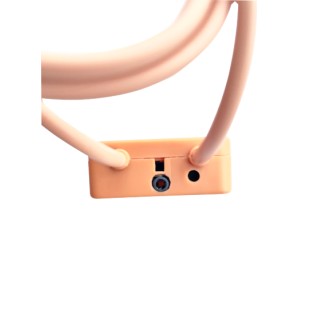 Circuito Bluetooth con amplificatore da 10W e microfono esterno