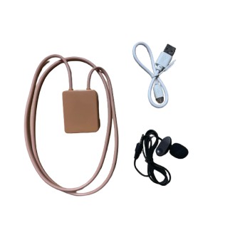 Circuito Bluetooth con amplificatore da 10W e microfono esterno