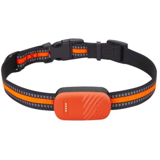 Collare GPS per cani G51