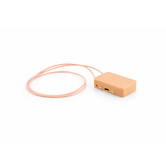Loop GSM + amplificatore da 10W