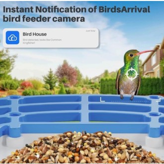 Mangiatoia intelligente per uccelli con telecamera Wi-Fi e ricarica solare