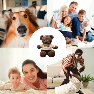 Orsetto di peluche con telecamera IP WiFi nascosta integrata