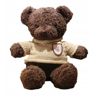Orsetto di peluche con telecamera IP WiFi nascosta integrata