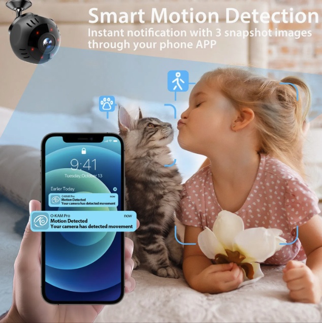 Mini telecamera Wi-Fi intelligente L30 con rilevamento del movimento